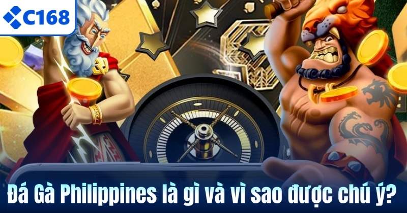 Đá Gà Philippines là gì và vì sao được chú ý?