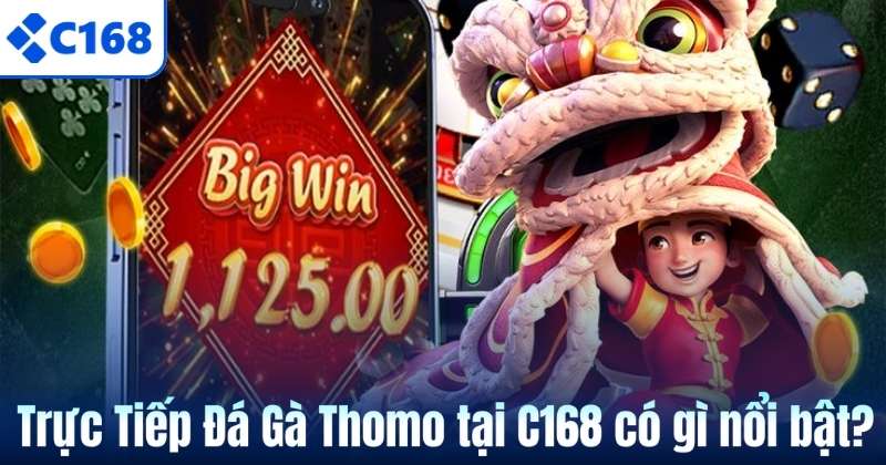 Trực Tiếp Đá Gà Thomo tại C168 có gì nổi bật?