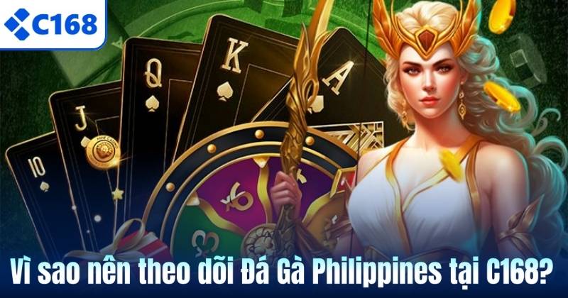 Vì sao nên theo dõi Đá Gà Philippines tại C168?